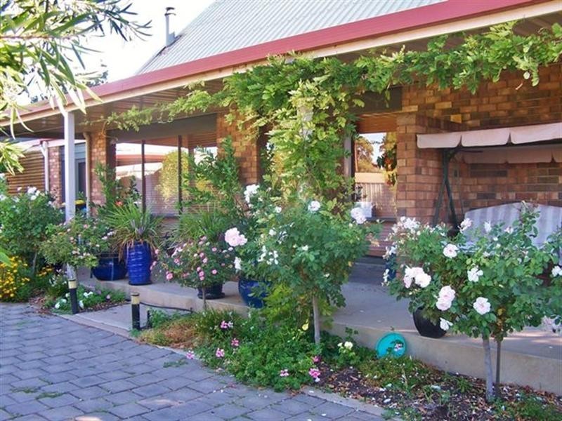 26 Gray Street, Murray Bridge SA 5253