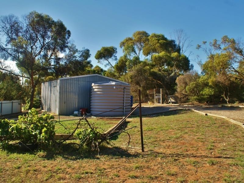 31 Loddon Road, Murray Bridge SA 5253