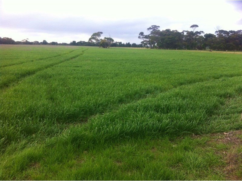 500 Le Gallez Road, Coomandook SA 5261