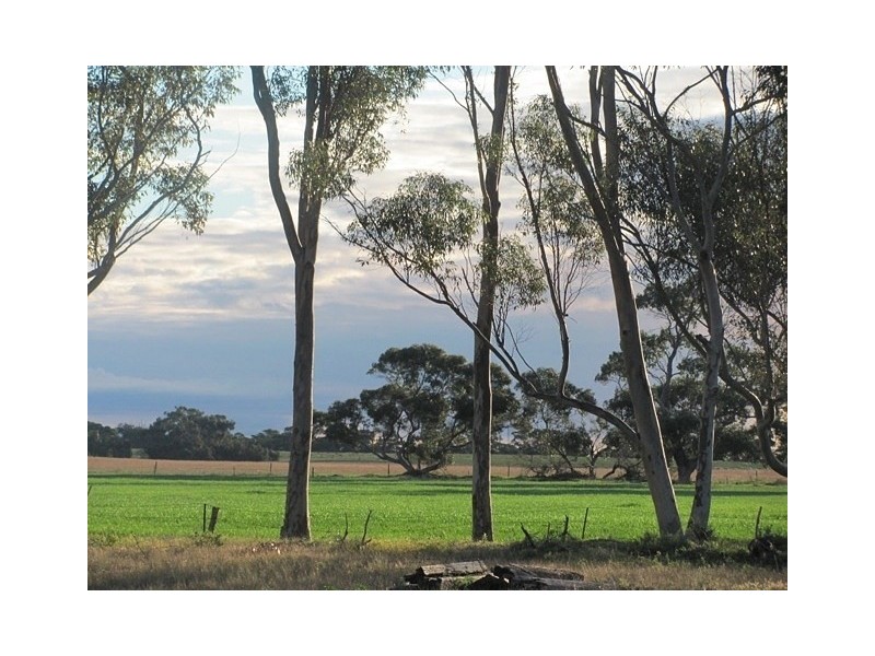 500 Le Gallez Road, Coomandook SA 5261