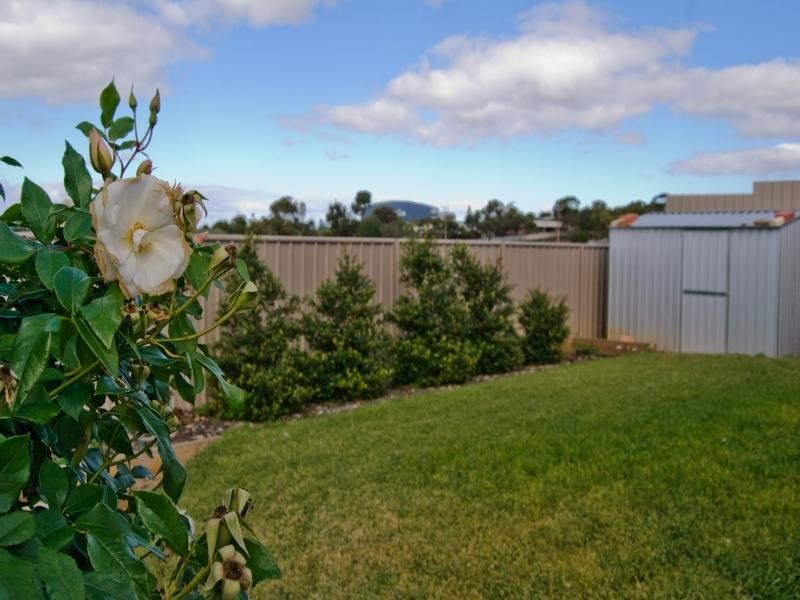 38 Waterlily Terrace, Murray Bridge SA 5253