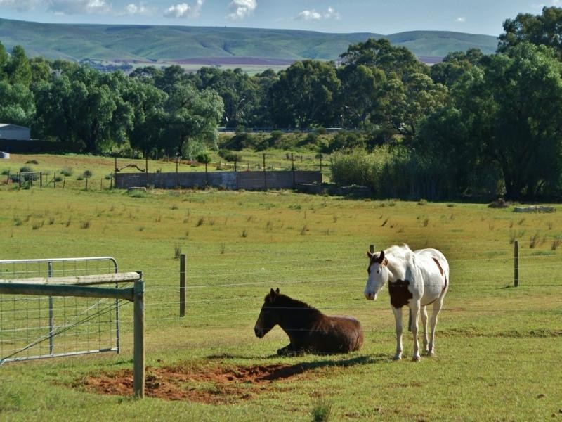 22 Redbank Road, Cambrai SA 5353