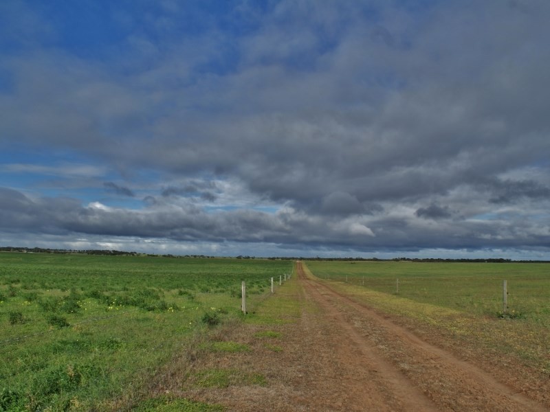 618 Jervois Road, Murray Bridge SA 5253