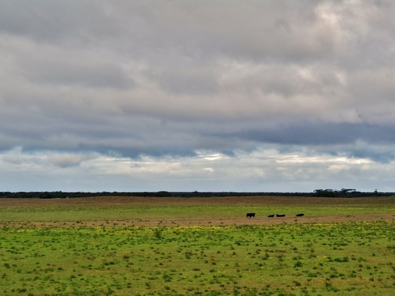 618 Jervois Road, Murray Bridge SA 5253