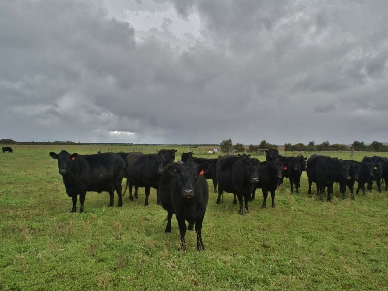 618 Jervois Road, Murray Bridge SA 5253