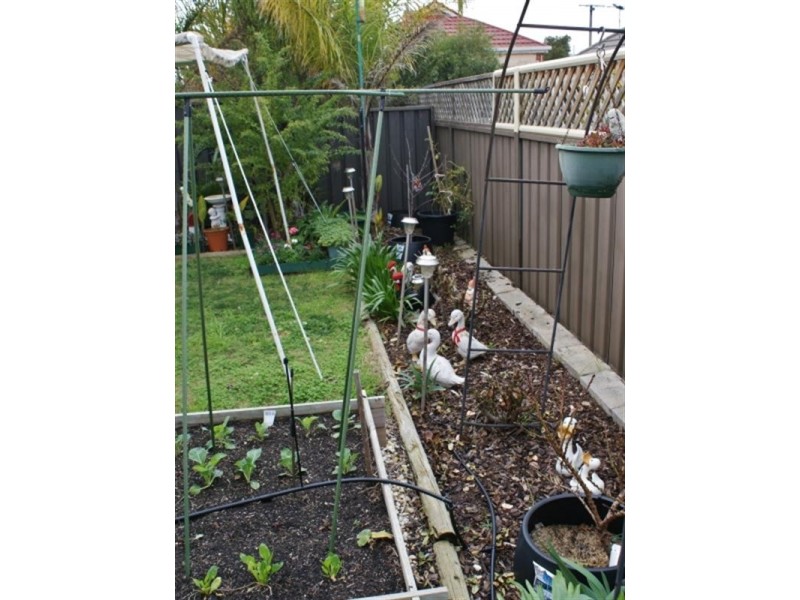 3/8 Ruth Street, Murray Bridge SA 5253