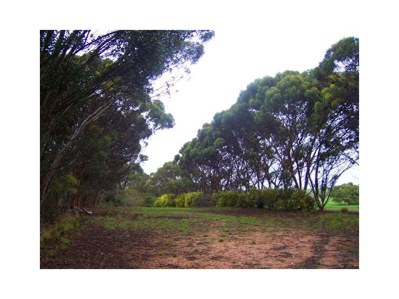 Lot 28 Placid Estates, Wellington East SA 5259