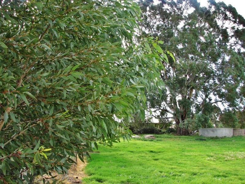 Sec 792 Cnr Bakehouse Road and North Bokara Road, Mypolonga SA 5254