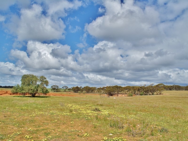 135 Mannum Road, Mannum SA 5238