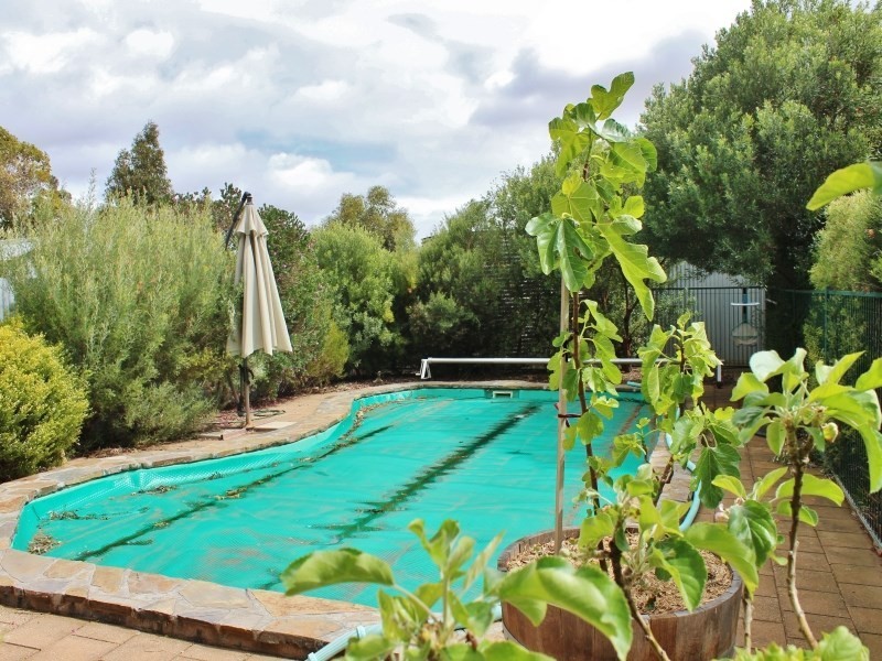 33 William Street, Murray Bridge SA 5253