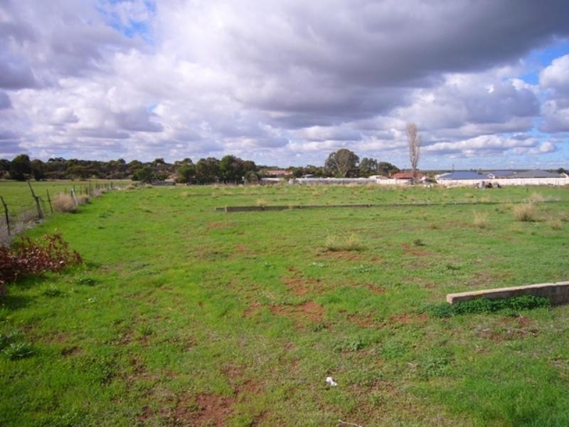 57 McQuarrie Street, Murray Bridge SA 5253