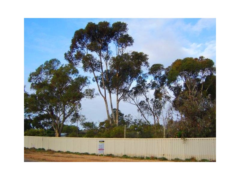 32 Culburra Avenue, Murray Bridge SA 5253