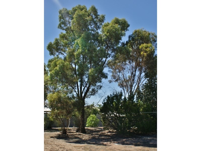 16 Park Terrace, Tailem Bend SA 5260