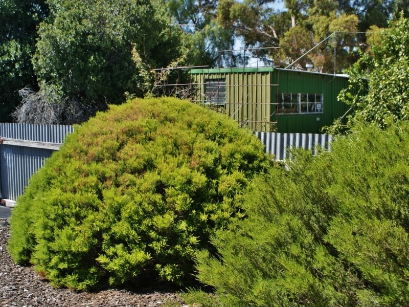 16 Park Terrace, Tailem Bend SA 5260