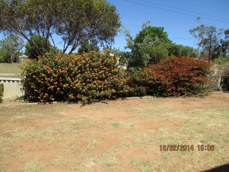 14 Elm Avenue, Murray Bridge SA 5253