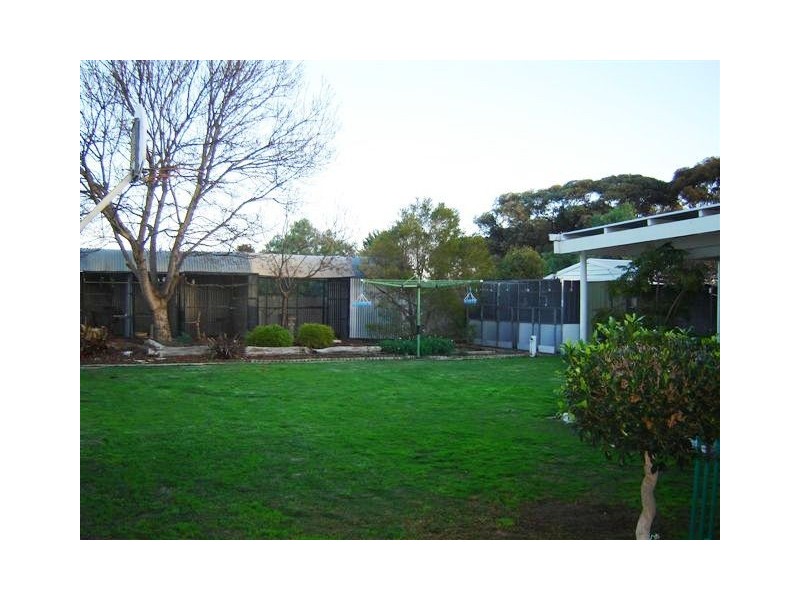 24 Todd Avenue, Murray Bridge SA 5253
