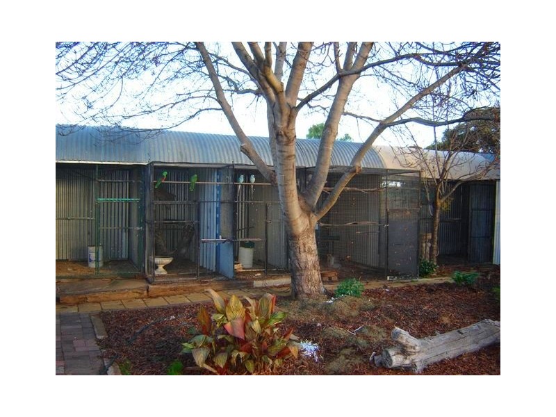 24 Todd Avenue, Murray Bridge SA 5253