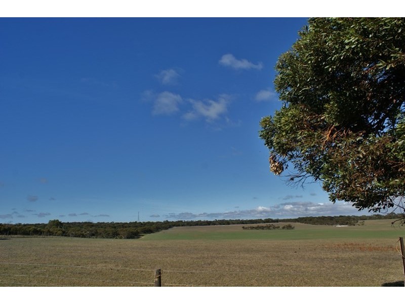 4130 Old Princes Highway, Murray Bridge SA 5253