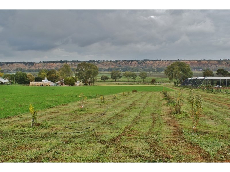 Lot 101 Balanada Drive, Mypolonga SA 5254