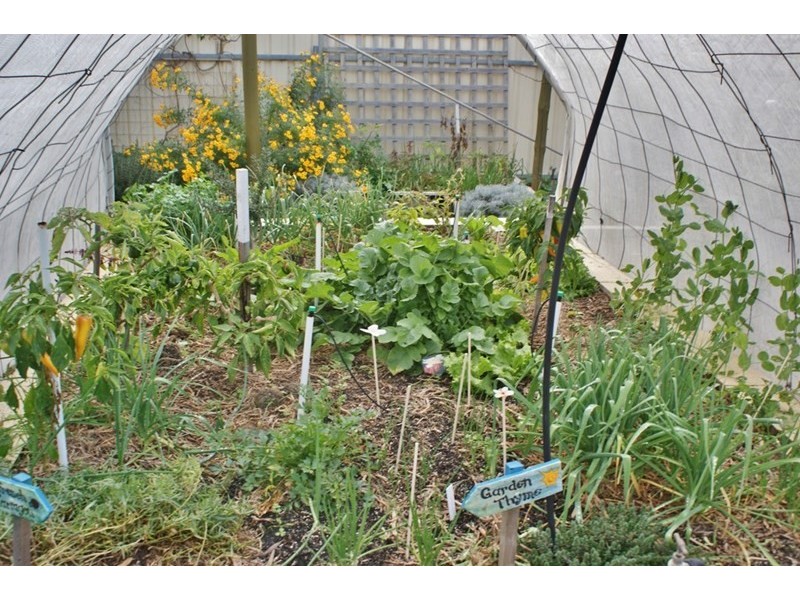 34 George Mason Street, Wellington East SA 5259