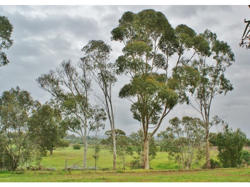 7-9 East Terrace, Callington SA 5254