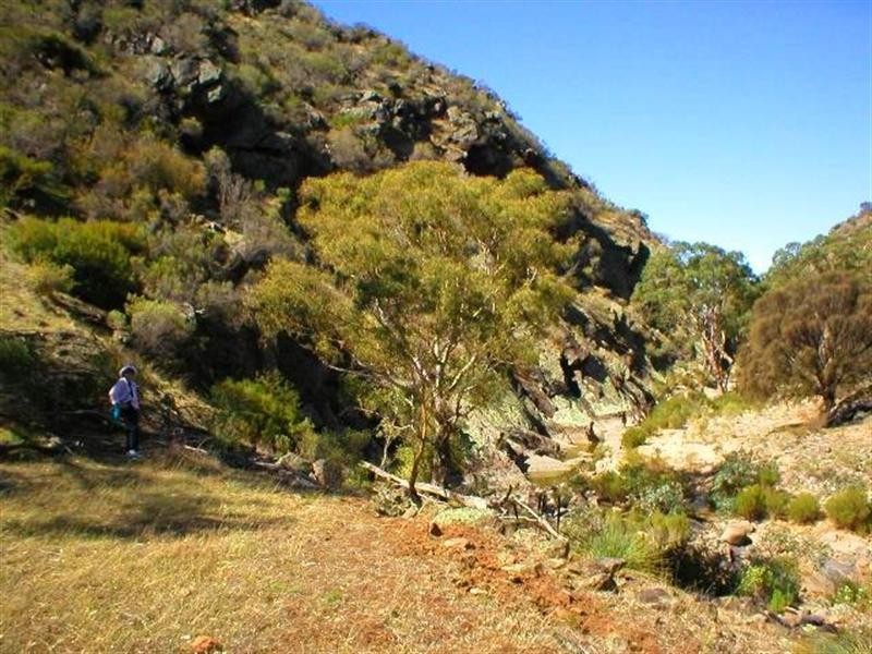 Lot 232 Tungkillo, Tungkillo SA 5236