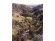 Lot 232 Tungkillo, Tungkillo SA 5236