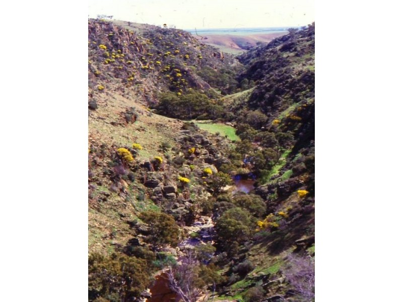 Lot 232 Tungkillo, Tungkillo SA 5236