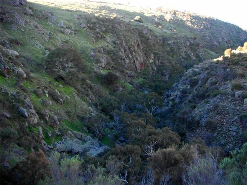 Lot 232 Tungkillo, Tungkillo SA 5236