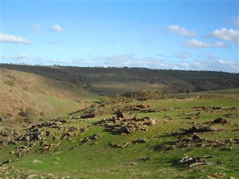 Lot 232 Tungkillo, Tungkillo SA 5236