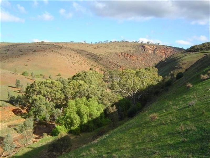 Lot 232 Tungkillo, Tungkillo SA 5236