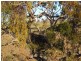 Lot 232 Tungkillo, Tungkillo SA 5236