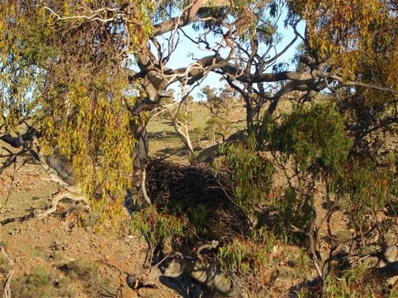 Lot 232 Tungkillo, Tungkillo SA 5236