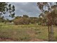 216 Mannum Road, Murray Bridge SA 5253