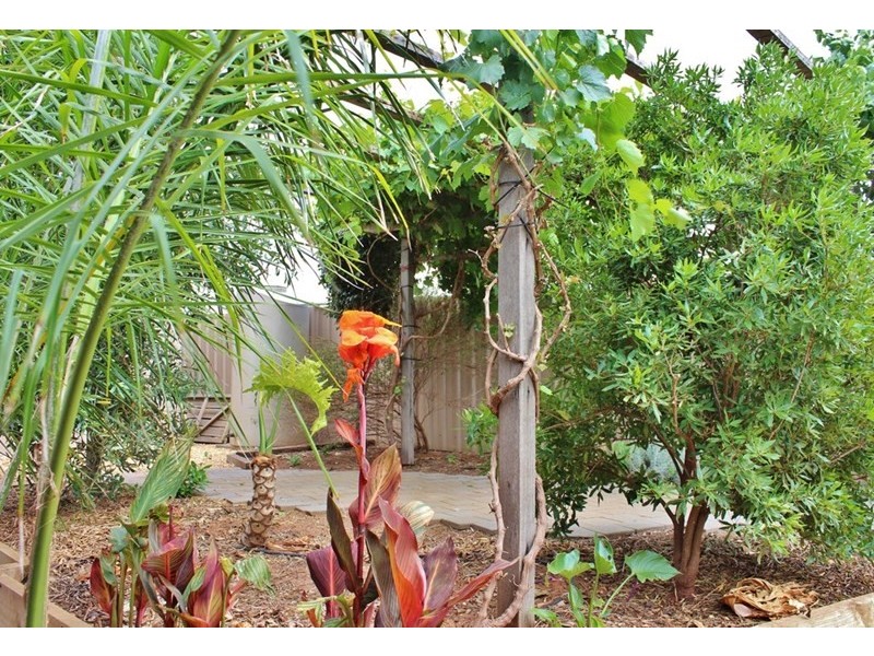 25 Willowbark Crescent, Murray Bridge SA 5253