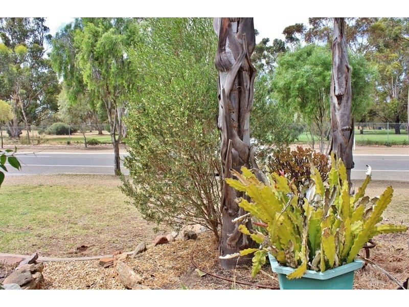 111 Standen Street, Murray Bridge SA 5253