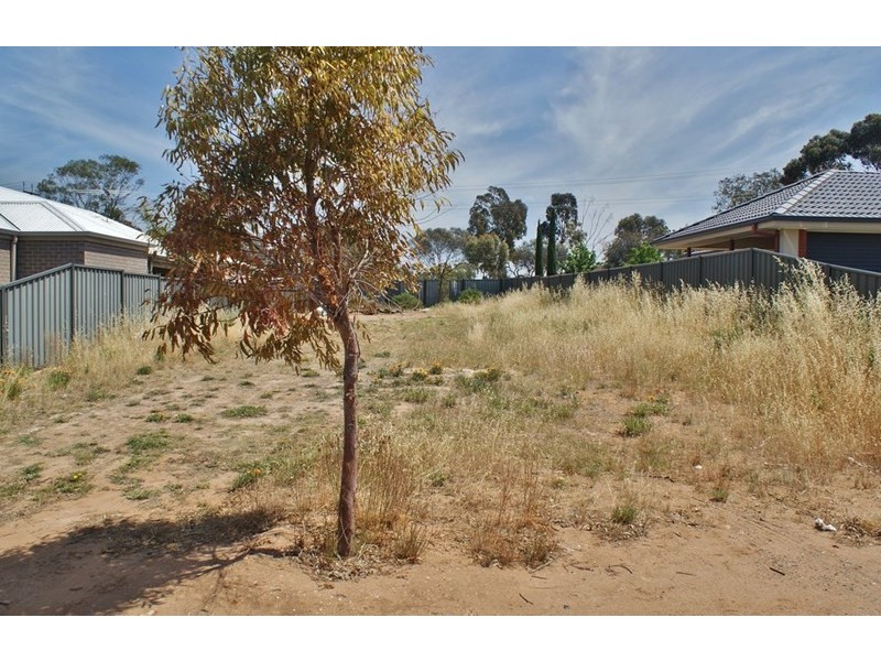 10 Thespian Court, Murray Bridge SA 5253