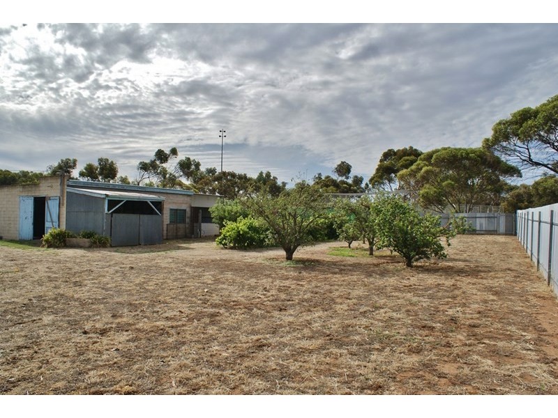 17 Hawke Road, Murray Bridge SA 5253