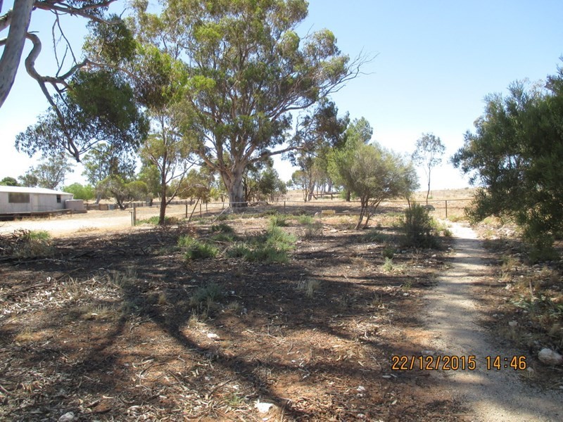 843 Coalfield Road, Moorlands SA 5301