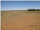 843 Coalfield Road, Moorlands SA 5301