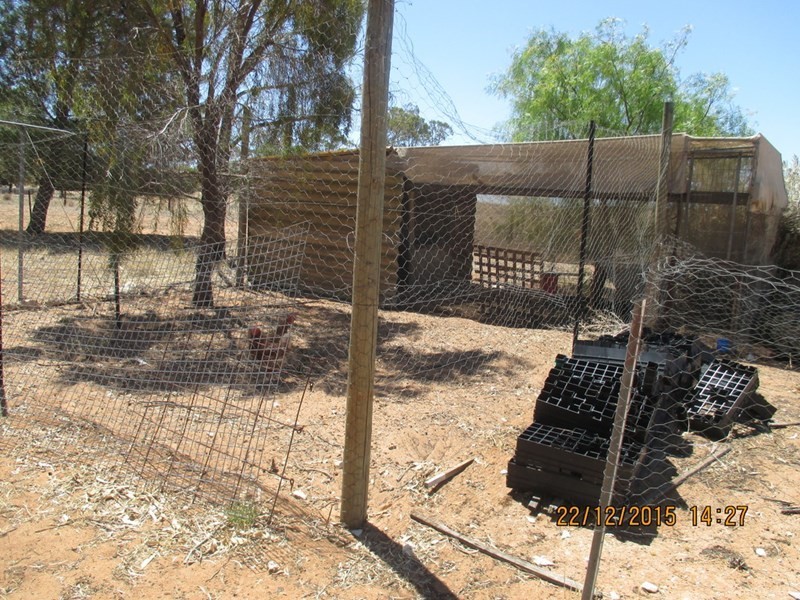 843 Coalfield Road, Moorlands SA 5301