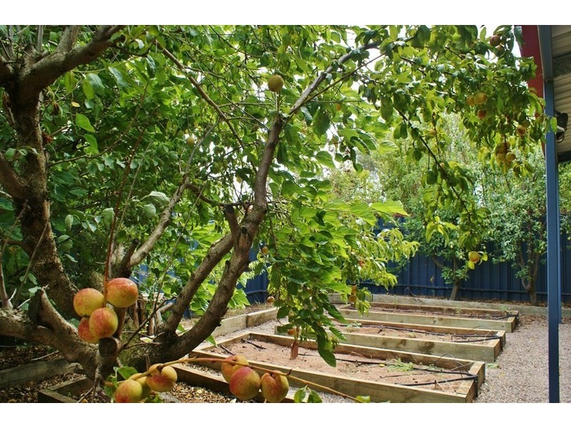 9 Myall Avenue, Murray Bridge SA 5253