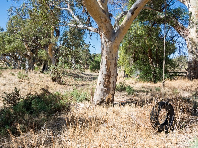 2284 Ridley Road, Angas Valley SA 5238