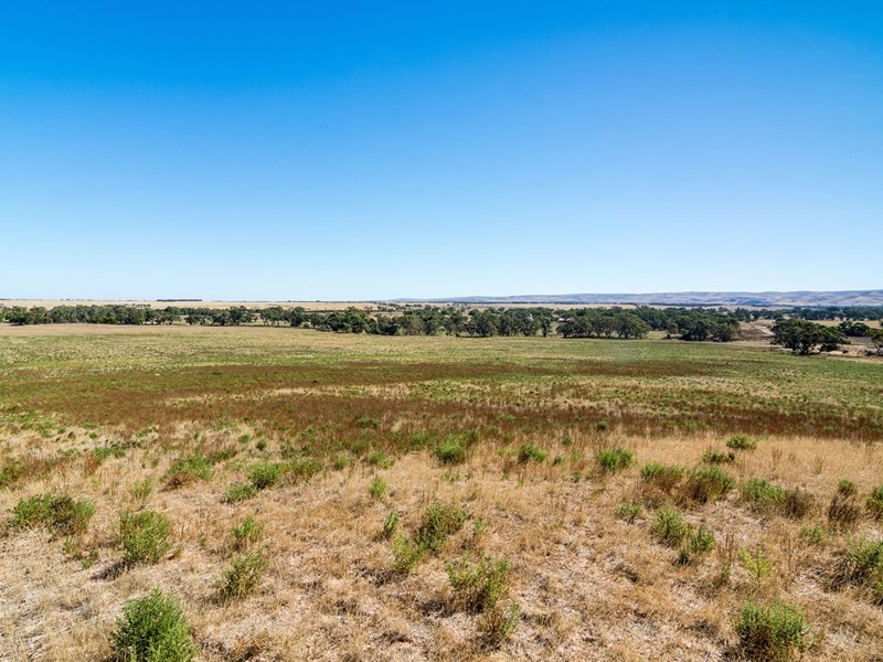 2284 Ridley Road, Angas Valley SA 5238