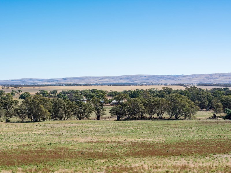 2284 Ridley Road, Angas Valley SA 5238