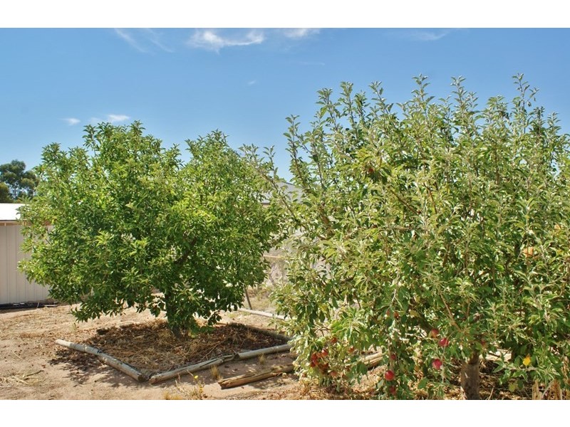 66 Doecke Road, Murray Bridge SA 5253