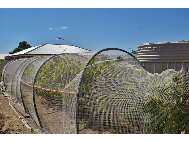 66 Doecke Road, Murray Bridge SA 5253