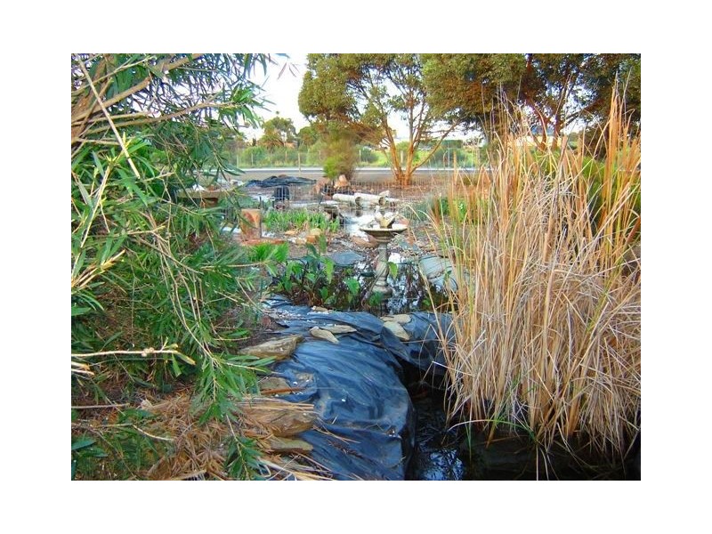 Lot 188 Avoca Road, Murray Bridge SA 5253