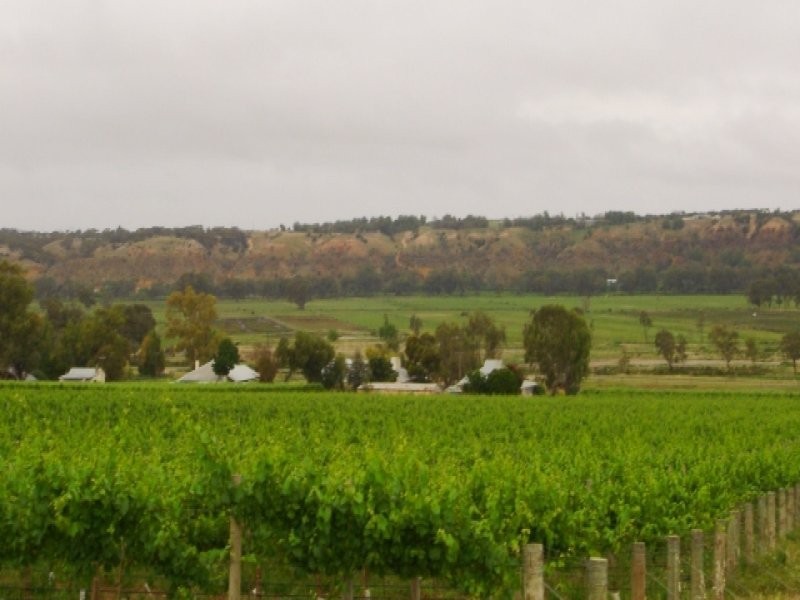 Lot 81 Balanada Drive, Murray Bridge SA 5253