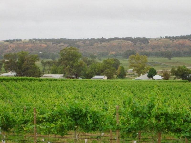 Lot 81 Balanada Drive, Murray Bridge SA 5253